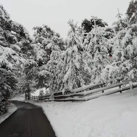 Borova Glava Villa *