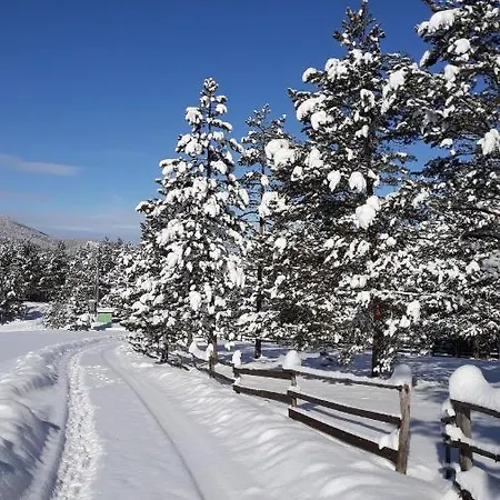 Borova Glava * Zlatibor