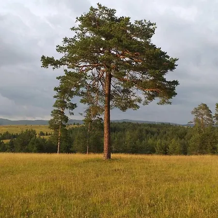 Borova Glava Villa Zlatibor