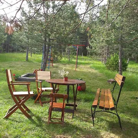 Villa Borova Glava *