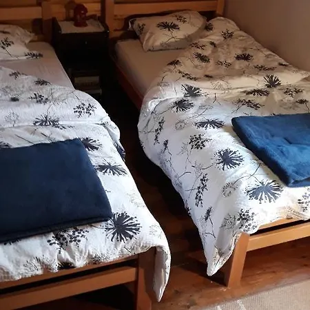 Villa Borova Glava Zlatibor