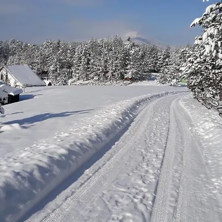 Villa Borova Glava Zlatibor